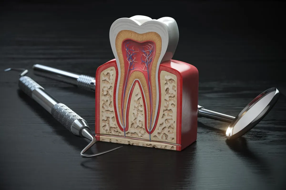 Root Canal Therapy: What to Really Expect