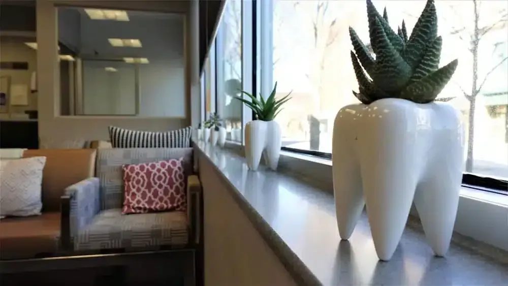 Tooth-shaped planters with succulents line a windowsill in a dental office.